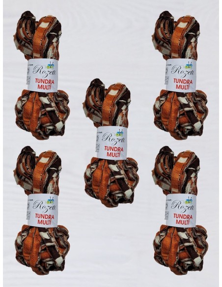 Tundra 01 - Pack de 5 Pelotes de 100g Marron Multicolore