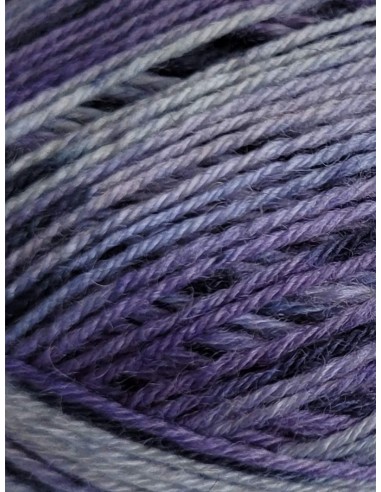 Laine Chaussettes 106 - Pelote de 100g de laine Parme chiné