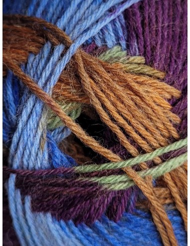 Laine Chaussettes 141 - Pelote de 100g de laine Multicolore chinée