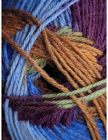 Laine Chaussettes 141 - Pelote de 100g de laine Multicolore chinée