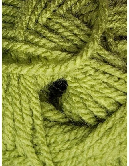 Première 05 - Pack de 10 Pelotes Pistache