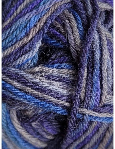 Laine Chaussettes 115 - Pack de 10 Pelotes de 50g Multicolore