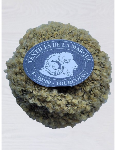 Astrakan 2206 - Pack de 10 Pelotes Jaune chiné