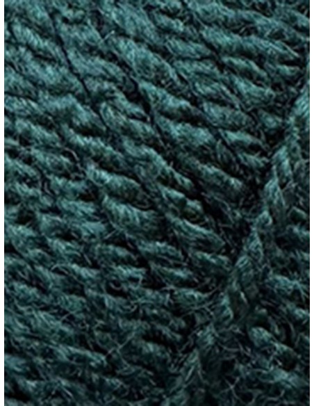 Première 25 - Pack de 10 Pelotes Vert foncé