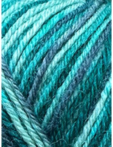 Laine Chaussettes 53 - Pelote Multicolore