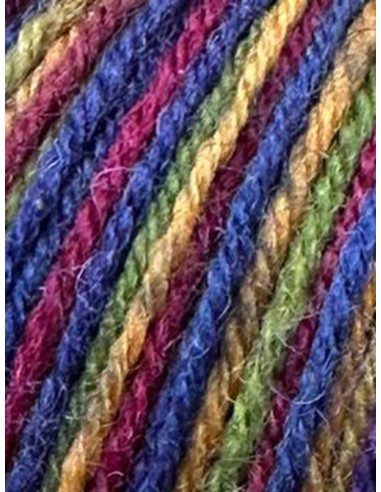 Laine Chaussettes 136 - Pelote Multicolore Marine & Jaune