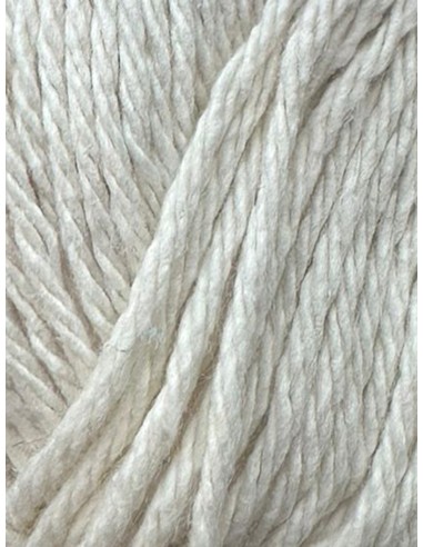 Home Cotton - Pelote 100g - 160m - Aig : 5 - Crochet : 5,5