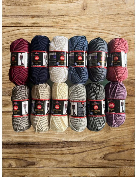 Everyday Big - Pelote 100g - 80m - Aig : 8-10