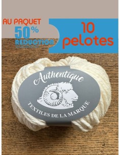 Authentique - Pack de 10 Pelotes 50g - 75m - Aig : 5,5-6 2