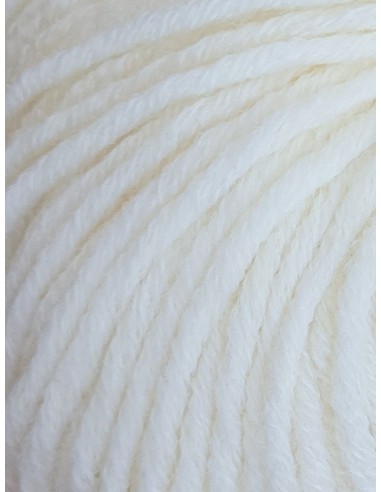 Mérino 5 - 880 Pelote Ecru
