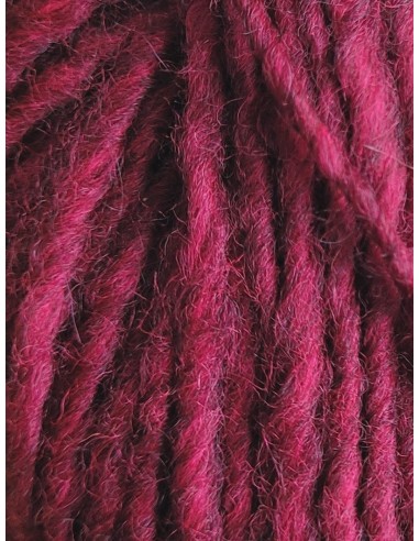 Alpage II 142 - Pack de 10 Pelotes Prune/ Fuchsia