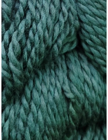 Pelote 128 Superwash 21 - Pelote 100g Vert cèdre