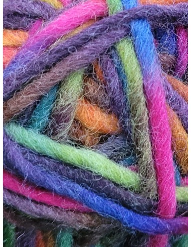 Filz Wolle 114 - Pelote  Multicolore - Laine à feutrer