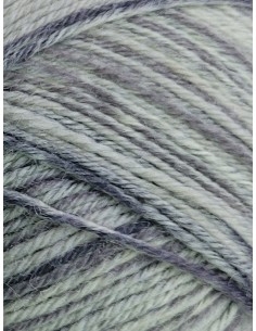 Laine Chaussettes 165 - Pelote de 50g Gris clair multico 2