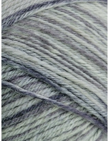 Laine Chaussettes 165 - Pelote de 50g Gris clair multico