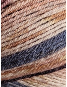 Laine Chaussettes 257 - Pelote de 50g Beige/Gris multico 2