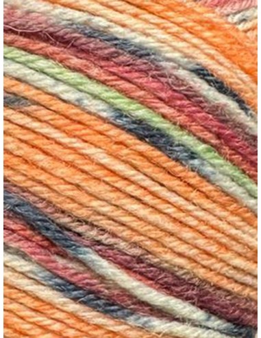 Laine Chaussettes 569 - Pelote de 100g de laine Multicolore