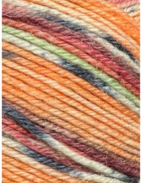 Laine Chaussettes 569 - Pelote de 100g de laine Multicolore