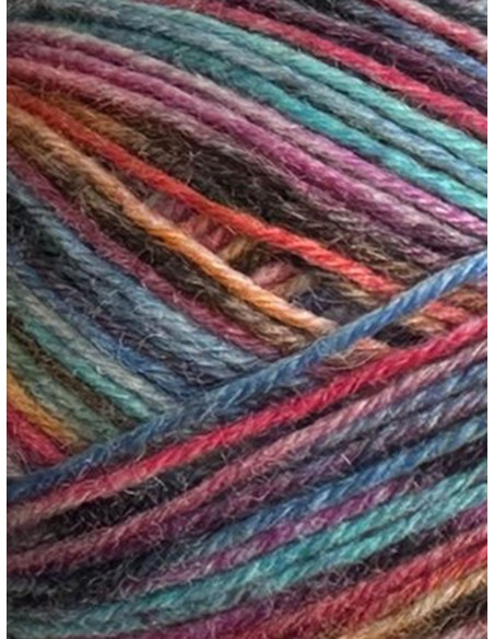 Laine Chaussettes 4071 - Pelote  de 100g Multicolore