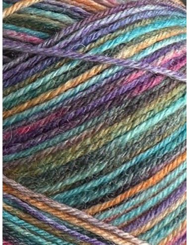 Laine Chaussettes 4073 - Pelote de 100g Multicolore