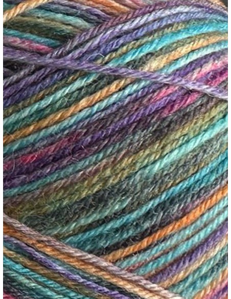 Laine Chaussettes 4073 - Pelote de 100g Multicolore