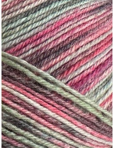 Laine Chaussettes 4076 - Pelote de 100g Multicolore