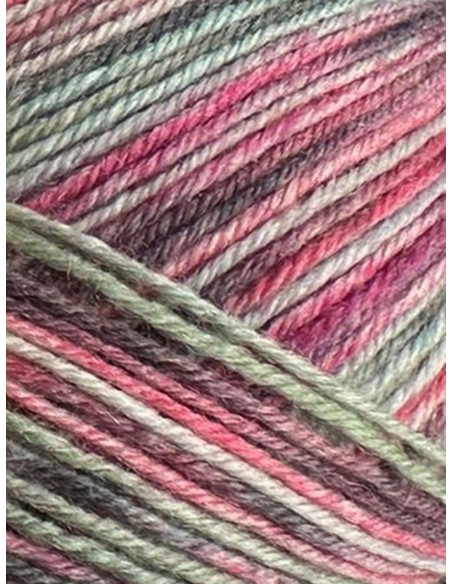 Laine Chaussettes 4076 - Pelote de 100g Multicolore