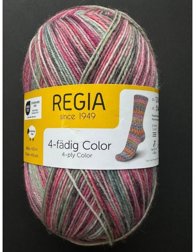 Laine Chaussettes 4076 - Pelote de 100g Multicolore