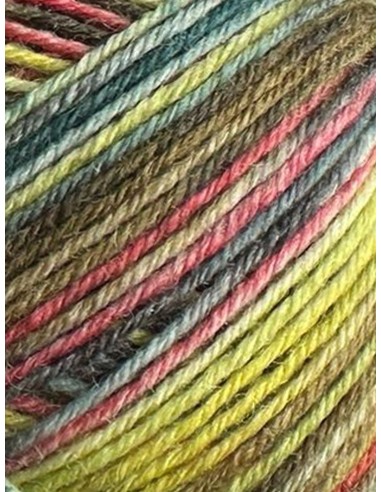 Laine Chaussettes 4077 - Pelote de 100g Multicolore