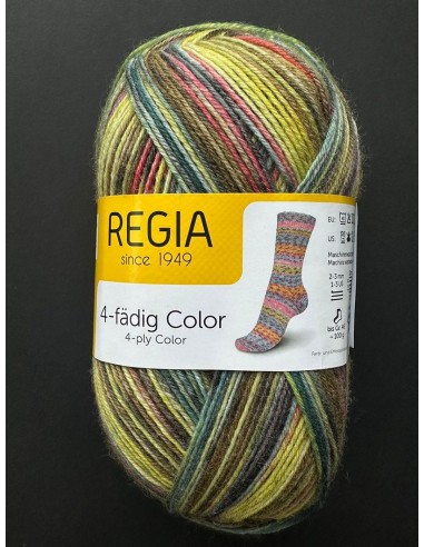 Laine Chaussettes 4077 - Pelote de 100g Multicolore