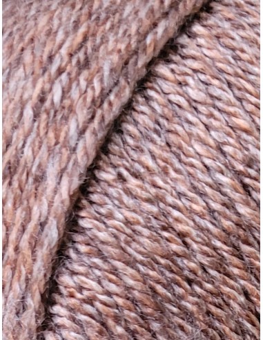 Everyday NEW TWEED 124 - Pelote 100g - Marron tweedé