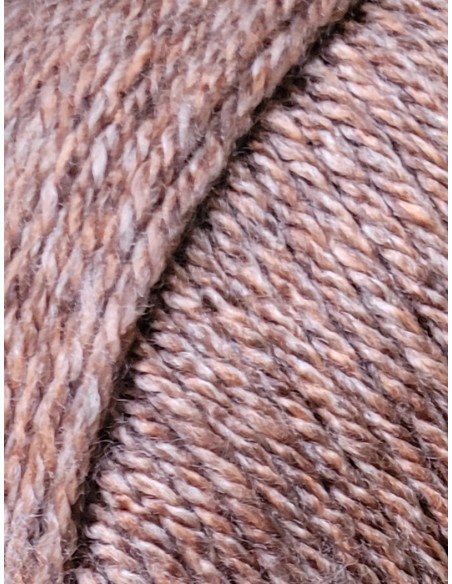Everyday NEW TWEED 124 - Pelote 100g - Marron tweedé