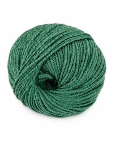 Malmedy N°2546 - Pelote 100% Laine vierge - Fougère