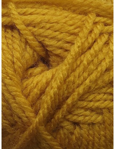 Première 239/37554 - Pack 10 pelotes Moutarde