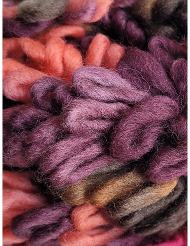 Pelote de fil à tricoter Pure Laine 100% Pure Laine Poids : 50g Longueur : 120m Aiguilles : -